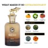Riiffs Collection De Montano Brave Apă de Parfum Bărbați