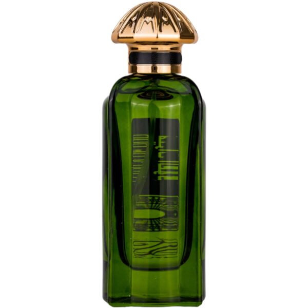 Apa de Parfum Nylaa Legacy of Oud, 100 ml, Inspirat de