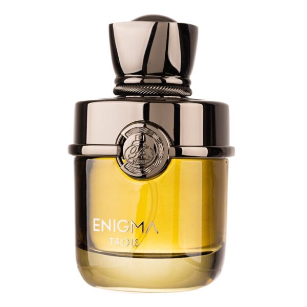 Enigma Trois Apa de Parfum by French Avenue, Barbati, 100ml