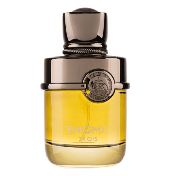Enigma Trois Apa de Parfum by French Avenue, Barbati, 100ml