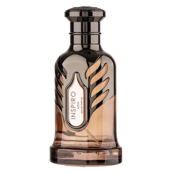 Parfum Inspiro Men by Riiffs – Extrait 100ml