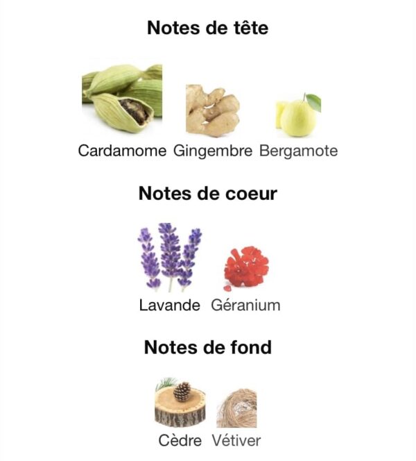 Jack Of Clubs de la Fragrance World – Parfum Bărbați
