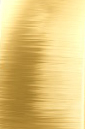 Verigheta din aur 14K 585 – Golden Unity